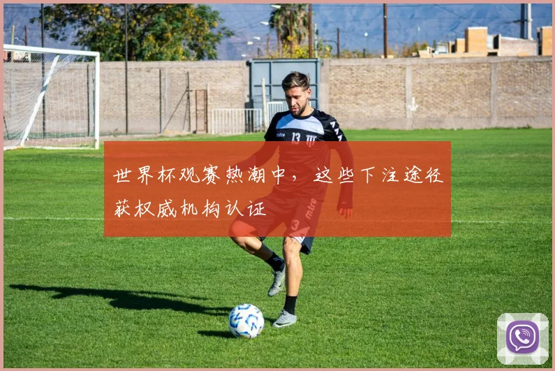 世界杯观赛热潮中，这些下注途径获权威机构认证
