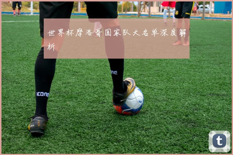 世界杯摩洛哥国家队大名单深度解析