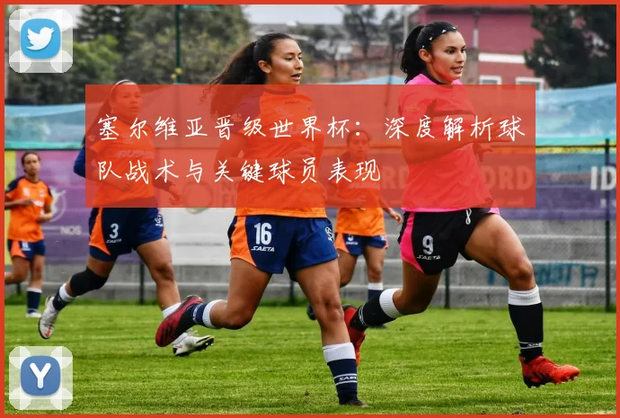 塞尔维亚晋级世界杯：深度解析球队战术与关键球员表现